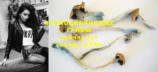 mdpv Медногорск