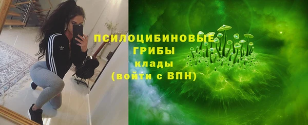 прущие грибы Медвежьегорск