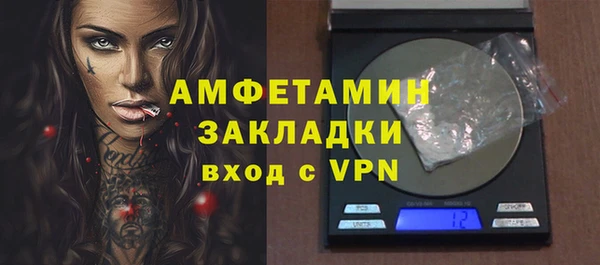 прущие грибы Медвежьегорск